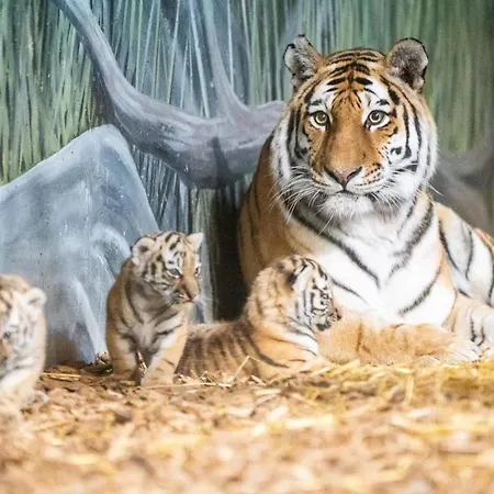 Apartament Ferie Bolig Pa Sorlandet *